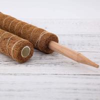 Tótem de musgo de coco Palo de coco para planta Tótem de musgo de coco para planta de jardín Plantas trepadoras de interior Plantas trepadoras de extensión, 30cm, 2 piezas - details 3
