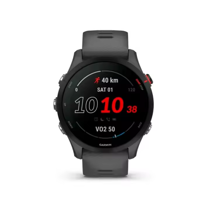 Smartwatch GARMIN Forerunner 255 Slate Gray 46mm - 1