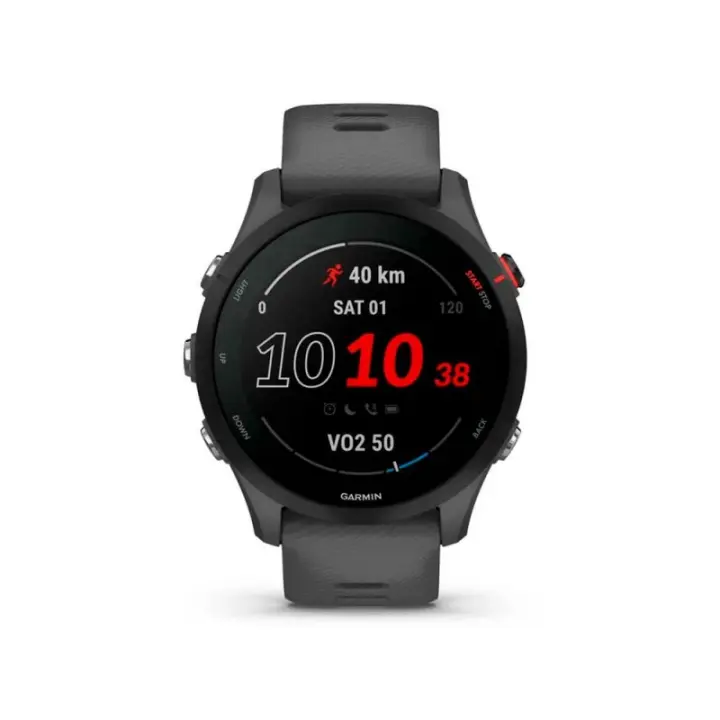 Smartwatch GARMIN Forerunner 255 Slate Gray 46mm - 1