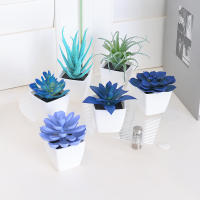 Juego De Macetas De Plástico Evergreen Para Decoración De Escritorio Y Oficina Estilo Suculentas Sin Mantenimiento Realista - details 21