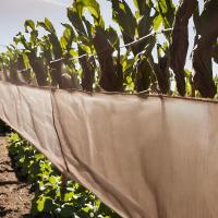 Malla de Ocultación 90% Sombreo 1x50 M - Protección UV - Negro - details 6