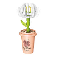 Bloques De Construcción DIY MOC Plantas Succulentas Cactus Gypsophila Bonsái Jardín Modelo Romántico Para Niños Kit De Juguetes - details 28