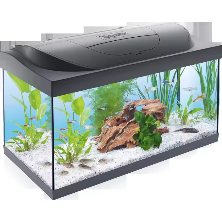 Tetra Starter Line LED 54L Acuario de inicio grande, Pecera con bombilla LED con modo luz diurna/nocturna - 1