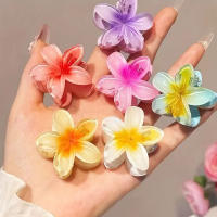 1/6pcs Clip De Pelo De Flor Bohemia Para Vacaciones Gran Pinza De Pelo Para Mujer Accesorios De Pelo Estilo Fashion - details 3