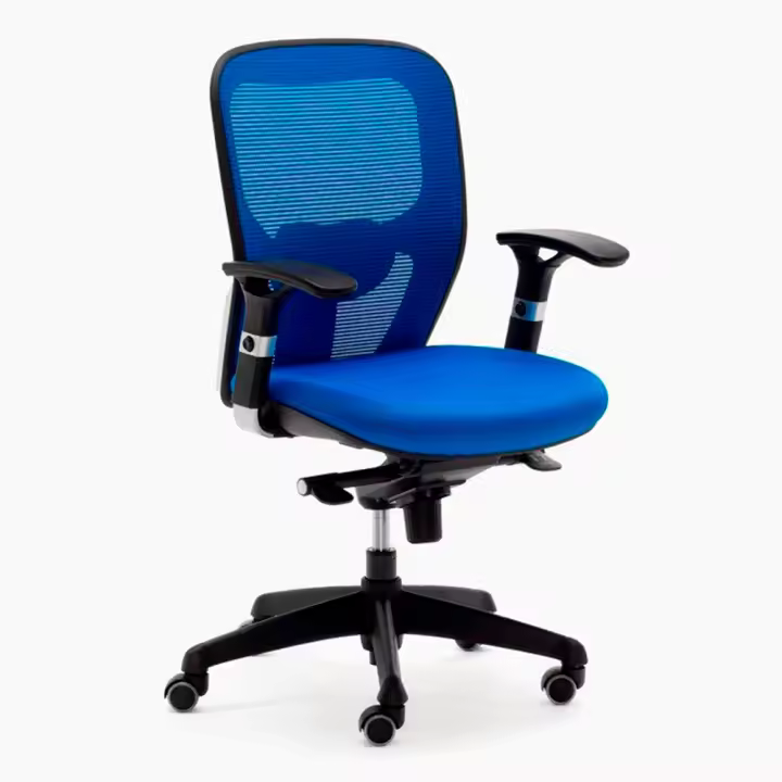 Silla Ergonómica Euromof Boston Azul con Ajuste Lumbar y Altura Regulable - 1