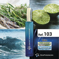 PERFUME ACQUA DI GIO DE ARMA NI DE EQUIVALENCIA- PARA HOMBRES - NOTAS OLFATIVAS: Aromáticas y acuáticas - Perfume de alta calidad y durabilidad - REF. 103 CIEN FRAGANCIAS + GAFAS DE SOL DE REGALO*. Comprando 2 unidades de 55 ml o 1 unidad de 100 ml. - details 0