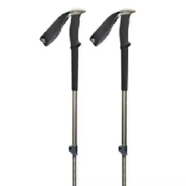 Black Diamond Bastones Trail Plateado Unisex - 1