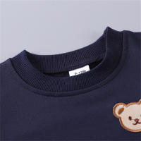 Conjunto De Dos Piezas Para Bebés Con Capucha Bordada De Oso De Poliéster De Manga Larga Para Primavera Y Otoño Ropa Infantil Casual - details 4