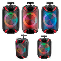Sanda Altavoz DS-1818 Portátil Grande 8 Pulgadas Bluetooth Inalámbrico con Luces LED Geniales - details 6