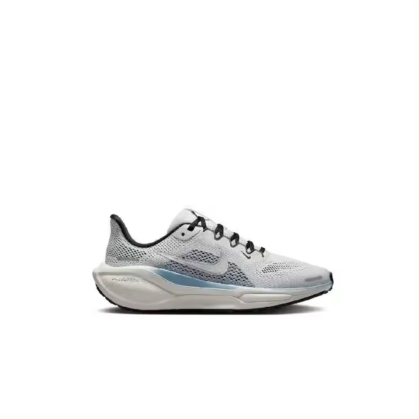 Nike Air Zoom Pegasus FN5041 002 - 1