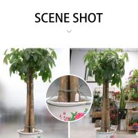 Testero De Humedad Del Suelo Inteligente 1-10PCS Medidor De Humedad Para Jardín Floristería Plantas Y Césped Herramienta De Jardinado Conveniente Monitor De Suelo VAKIND - details 5