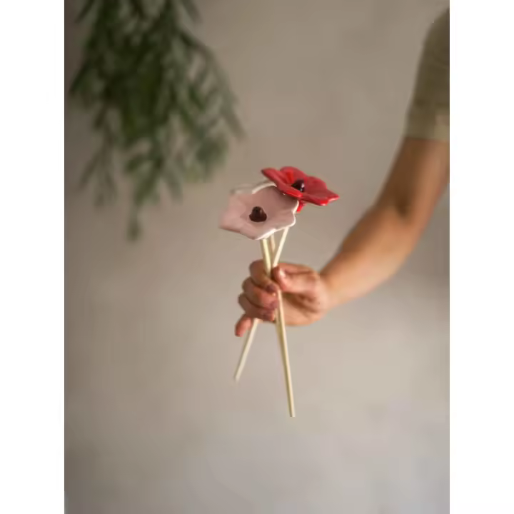 Flor de la corona del rey - 1