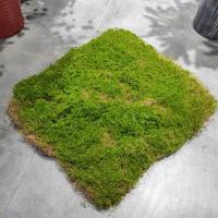 Carpetas De Mostrador Artificiales De Moss Para Jardín Exterior Decoración De Paisaje Bonsái Carpeta De Hierba Falsa Verde Simulación Para DIY Y Terrarios - details 1