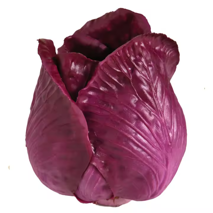LOMBARDA - 1