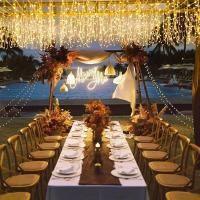 Guirnalda De Luces LED Para Exterior 4x0.6m Decoración Navideña Para Patio Fénix De Hadas Cortina De Luces Para Bodas Y Jardines - details 7