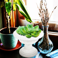 Maceta Plástica Para Plantas Hidroponicas Decorativa Para El Hogar Y Balcones Adecuada Para Scindapsus Y Otros Plantas - details 2