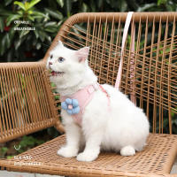Harnés Ajustable Para Perros Con Correa De 1.2m Conjunto De Collar Y Correa Para Caminar Al Aire Libre Para Puppies Gatos Bulldog Francés Chihuahua - details 4