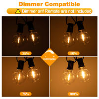 Luces De Cadena LED G40 De Plástico E12 110V US 220V EU Impermeables Y Resistentes Al Choque Para Decoración De Jardín Exterior - details 4