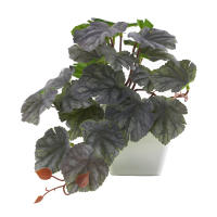 1pc Plantas Artificiales Pequeñas Con Macetas De Plástico Decoración De Escritorio Para Oficina Y Hogar Ambiente Interior Y Exterior - details 12