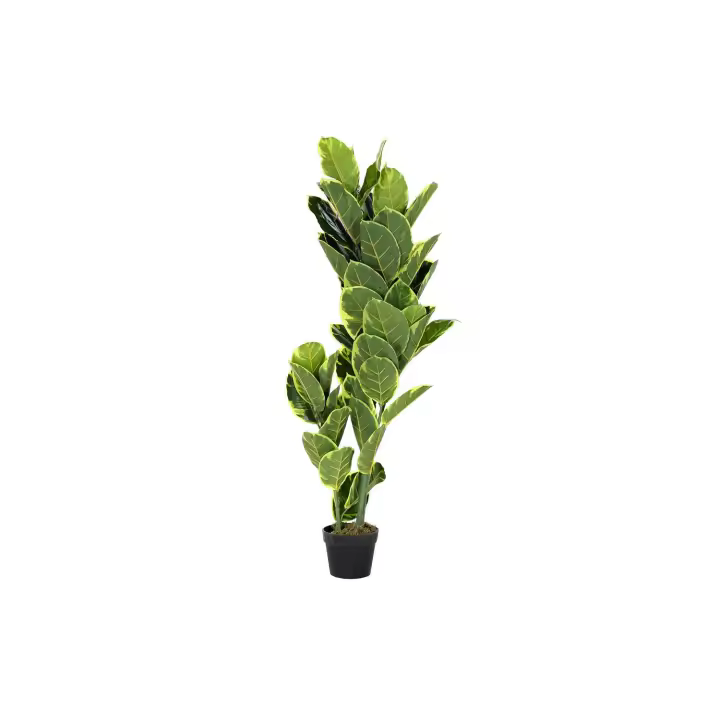Planta Pe 40X40X120 Hevea Verde El mejor complemento para tu hogar  -Fijalo- - 1