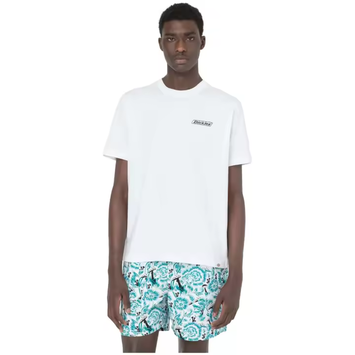 Textil Sportswear marca Dickies modelo Dk0A4Ybtwhx1 para hombre en color - 1