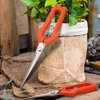 Tijeras De Uva Profesionales Acero Inoxidable Herramienta De Jardín Para Podar Y Recolección Con Cerradura Para Vivero Y Bonsái - details 3