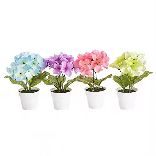 Pack 4 Planta hortensia decorada en maceta-DAMDAM GO - 1