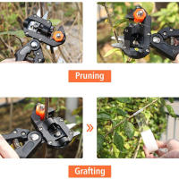 Tijeras De Podar Profesionales Para Jardín Cortador De Ramas Para Árbores Frutales Herramienta De Jardinería Con Corte Antideslizante Y Manija Cómoda - details 2