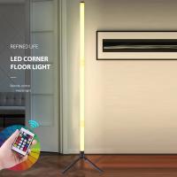 Lámpara De Piso LED Para Decoración De Habitaciones RGB+WW+CW Suministro De Energía USB Iluminación Long Ground Para Casas Nórdicas - details 1