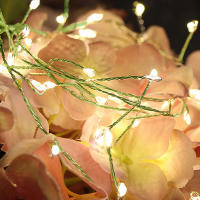 Luces De Navidad LED 1000 LED Cluster Para Decoración De Bodas Y Jardines Exterior E Interior 220V Cable Verde Decoración De Año Nuevo - details 6