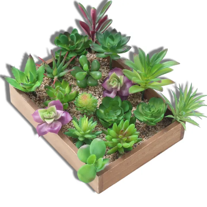 12 Piezas De Mini Plantas De Suculentas Artificiales Para Decoración No Envasadas Colores Aleatorios Para Jardín Al Aire Libre Y Fiestas - 1
