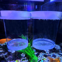Caja De Cría De Peces Flotante En Plástico Acuario Incubador De Alimentos Para Peces Hatchery Accesorios De Acuario - details 16