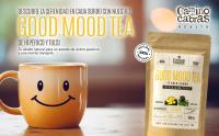 Caja Regalo Te e Infusiones Gourmet  Wellness & Good Mood Tea  Infusión Relajante, Digestiva & Antioxidante  Té Verde, Blanco, Hiperico, Jengibre, Tulsi, Espirulina, Curcuma  Pack Te 2 x 100g - details 6
