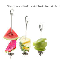 Soporte Para Alimentos De Pájaro En Acero Inoxidable Juguete De Forrajeo Para Periquito Fruta Verdura Carne Palillo De Pájaro - details 1