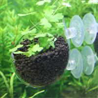 Vaso De Cristal Transparente Para Acuario Mini Jarrón De Agua Para Plantas Acuáticas Decoración De Aquascape Potente - details 1