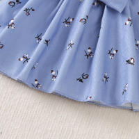 2PCS Vestido De Princesa Para Bebé Girla 0-2 Años Con Manga Larga Estampado De Flores Gran Lazo Vestido De Moda Para Bebé Niña Otoño - details 16
