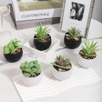 XIYA FLOWER Plantas Artificiales En Maceta De PE Y PP Para Decoración De Hogar Y Fiestas Plantas De Juego De 6 Piezas Estilo Grama - details 10