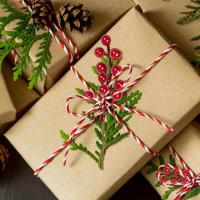10pcs Ramas De Pino Con Bayas Rojas Artificiales Decoraciones De Navidad Para Arbolito De Año Nuevo Falsas Plantas Rojas De Fruta Adornos DIY Para Festividades - details 10