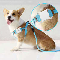 Rastreador GPS Para Perros Y Gatos Impermeable Con Luz LED Localizador De Animales Domésticos Apto Para Mascotas Con App De Seguimiento - details 3