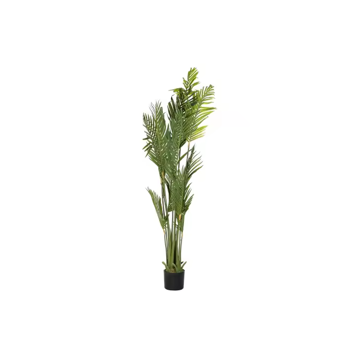 Planta Pe 50X50X180 Palmera Verde El mejor complemento para tu hogar  -Fijalo- - 1