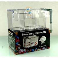 Caja De Cría Para Pequeños Peces Acrílico De Acrílico Para Acuario Separación De Peces Pequeños Caja De Aire Para Peces Enfermos - details 4