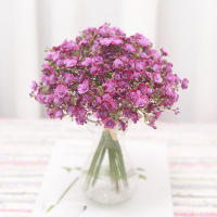 6PCS Flores Artificiales De Esterilla Para Bebé Gypsophila Decoración De Mesa Para Hogar Y Fiesta Boda Navidad Plástico Sin Químicos - details 4