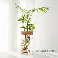 1pc Vaso De Cristal Para Plantas De Esterilidad Decoración De Escritorio Estación De Propagación De Plantas Jarrón De Mesa - details 7