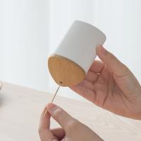 Caja De Almacenamiento Para Palillos De Dientes Ecológica De Plástico Dispensador Portátil Para La Cocina Y Sala De Estar - details 5