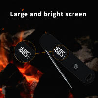 Termómetro Digital De Carne DT-127 Con Probes Plegables Y Recargables IPX5 Impermeable Para BBQ Y Freír Profundo Herramienta De Cocina - details 6