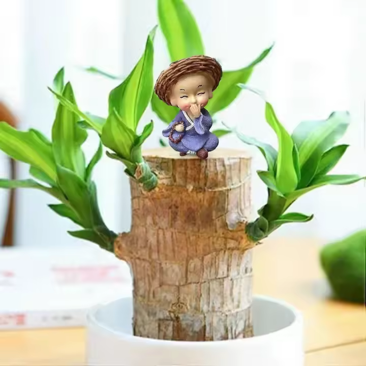 Brazilian Wood Potted Plant Decoration For Home Office Decoration4pc GAO247252 - 1