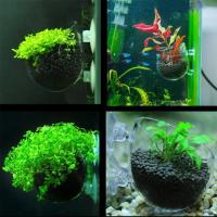 Decora Tu Acuario Con Este Mini Recipiente De Cristal Colgante Para Tanque De Peces. Accesorio Ideal Para Plantas Acuáticas. Transparente. Tamaño 7cmx6.4cm. Peso 73g. - details 5