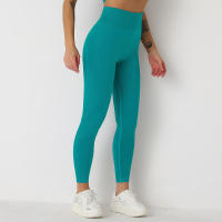 Leggings De Yoga Sin Costuras Para Mujer Levantador De Glúteos Deportivos De Fitness Y Gimnasio Pantalones De Running Terciopelo De Nylon De Cintura Elástica - details 47