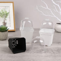 Juego De 5 Macetas Cuadradas Pequeñas Con Domos De Humedad Transparentes Para Plantas En Iniciación Moderno Estilo Plástico - details 2