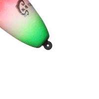 Set De 5 Flotadores Luminosos Para Pesca En El Mar EVA Flotadores Flotantes Duros Para Pesca En Barco Tamaños 10g-100g - details 3